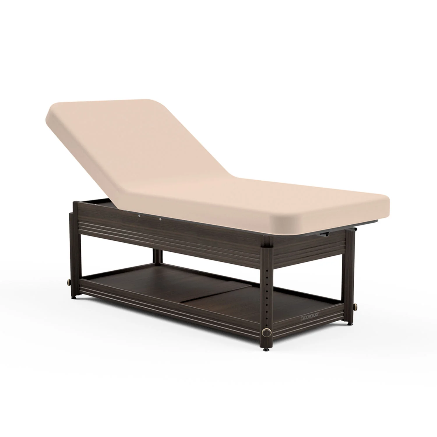 Oakworks Clinician Adjustable Lift Assist Backrest Table